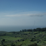 DSC00672-w740_h495